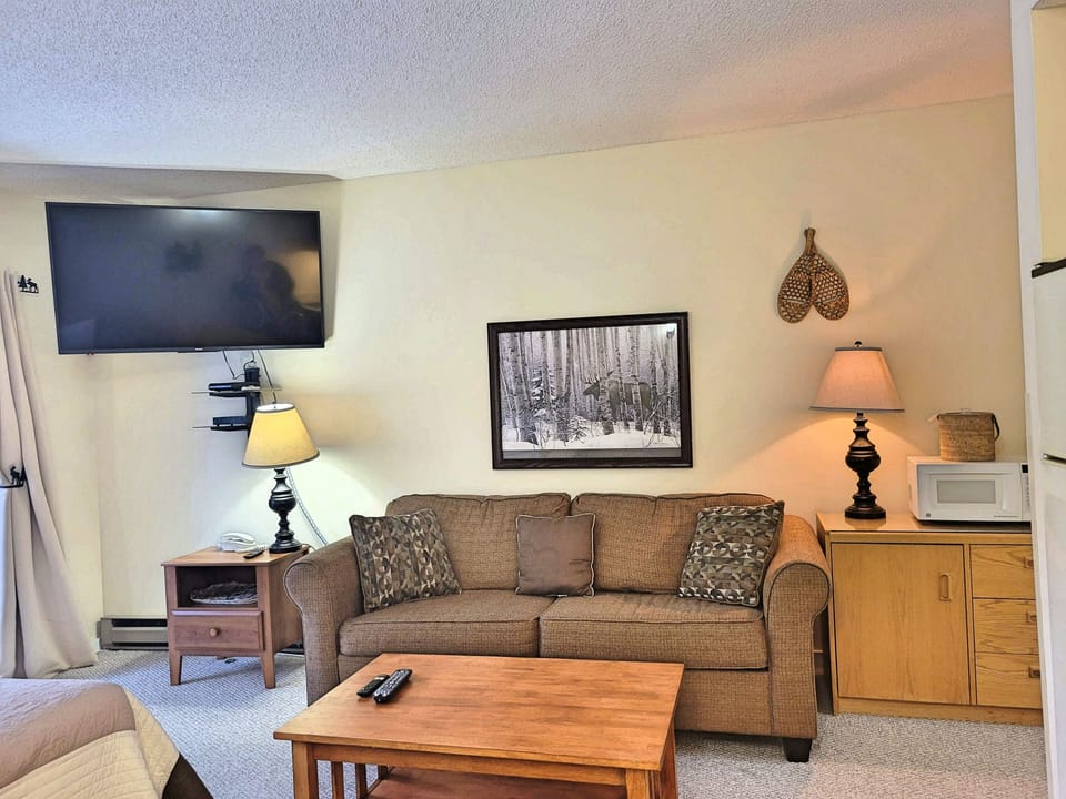 Living Area with Sleep Sofa