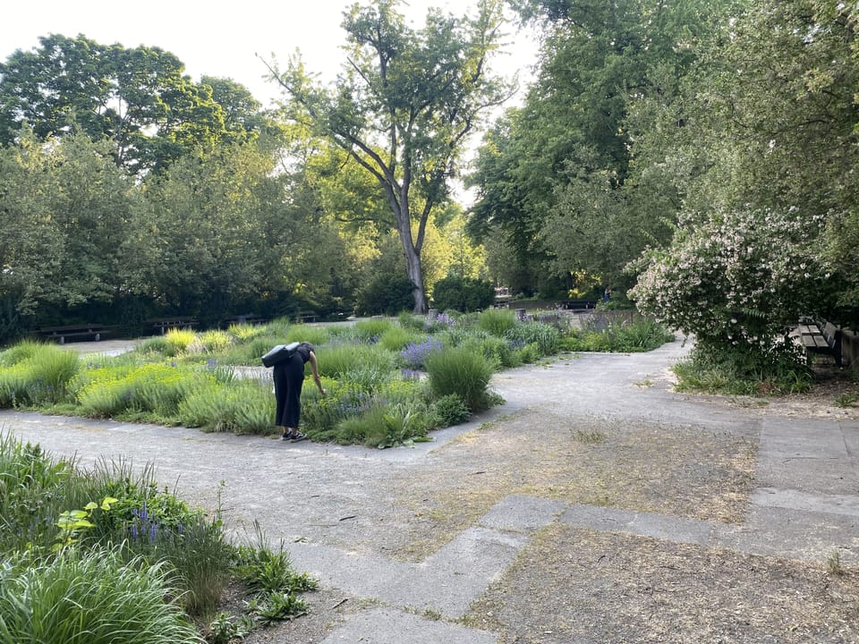 The Kleiner Tiergarten - just a 5 minute walk away