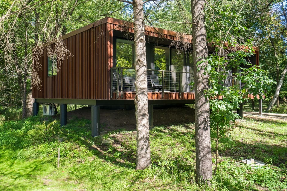 Modern elevated cabin nestled among mature trees, featuring warm wood siding and expansive windows in a peaceful forest setting.