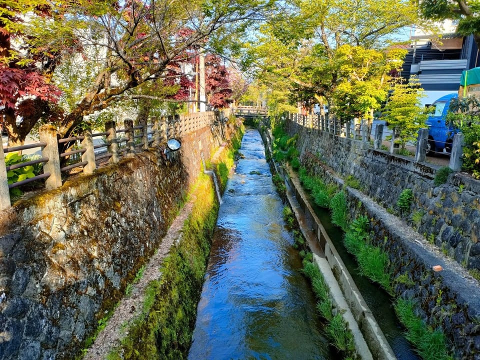 Enago River