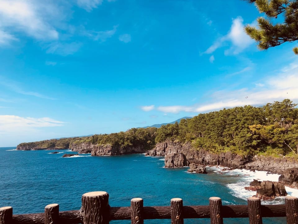 Jogasaki Coast Suspension Bridge