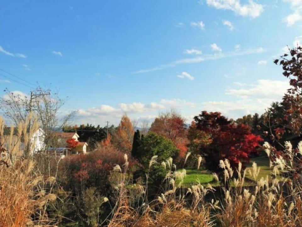 autumn leaves season