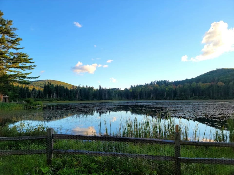 Our Lake
