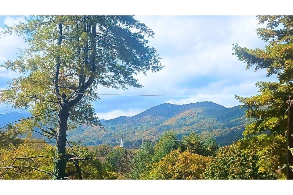 Unobstructed view from front windows and deck (fall 2022).