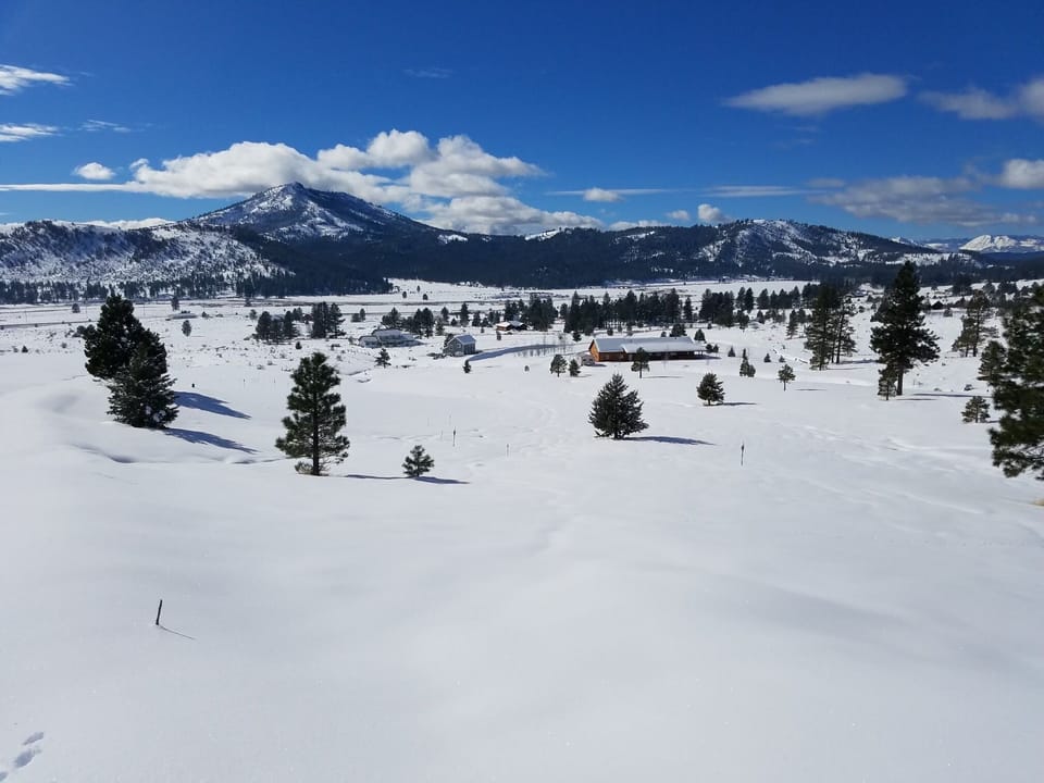 Snow and ski sports