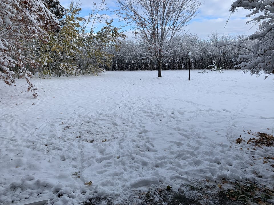 Backyard space is fenced in