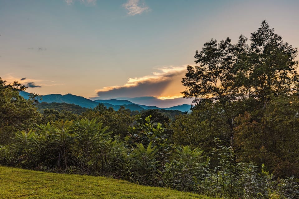 The cabin is surrounded by Mountain Laurels and Rhoderdendum. 
