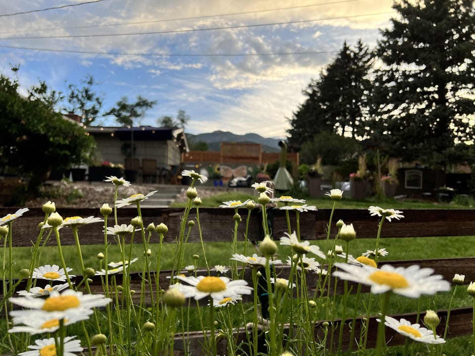 Mountain views from the fresh garden