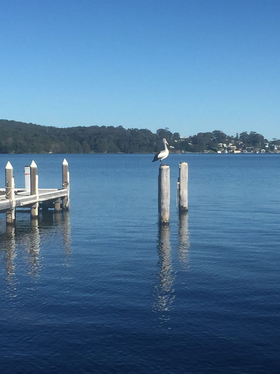 Lake