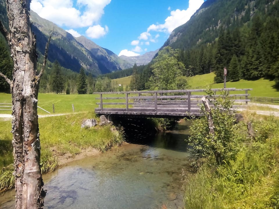Surroundings [summer] (1-5 km)