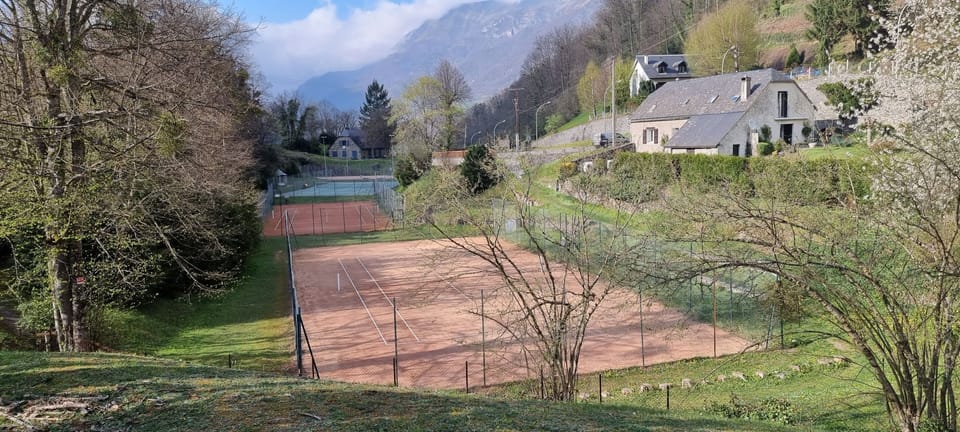 Sport court