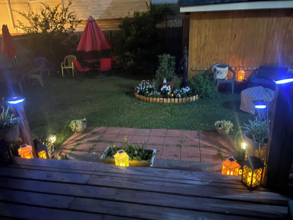 Back yard