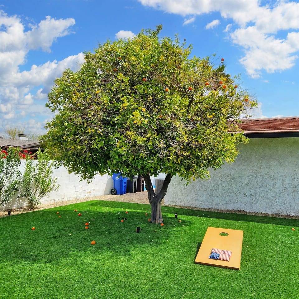 Pick fresh lemons from your own tree and sip homemade lemonade while playing a friendly game of cornhole in the sunshine.