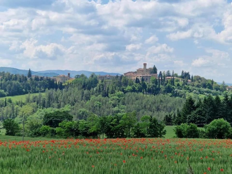 Surroundings [summer] (1-5 km)