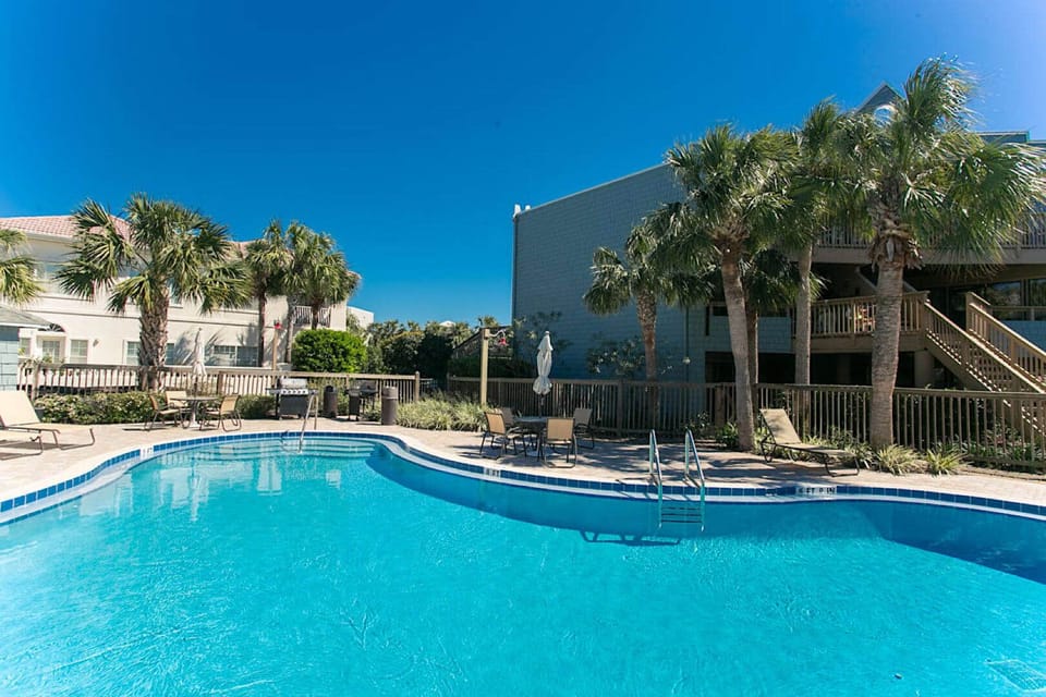 Bright blue pool reflecting clear skies and palm trees.