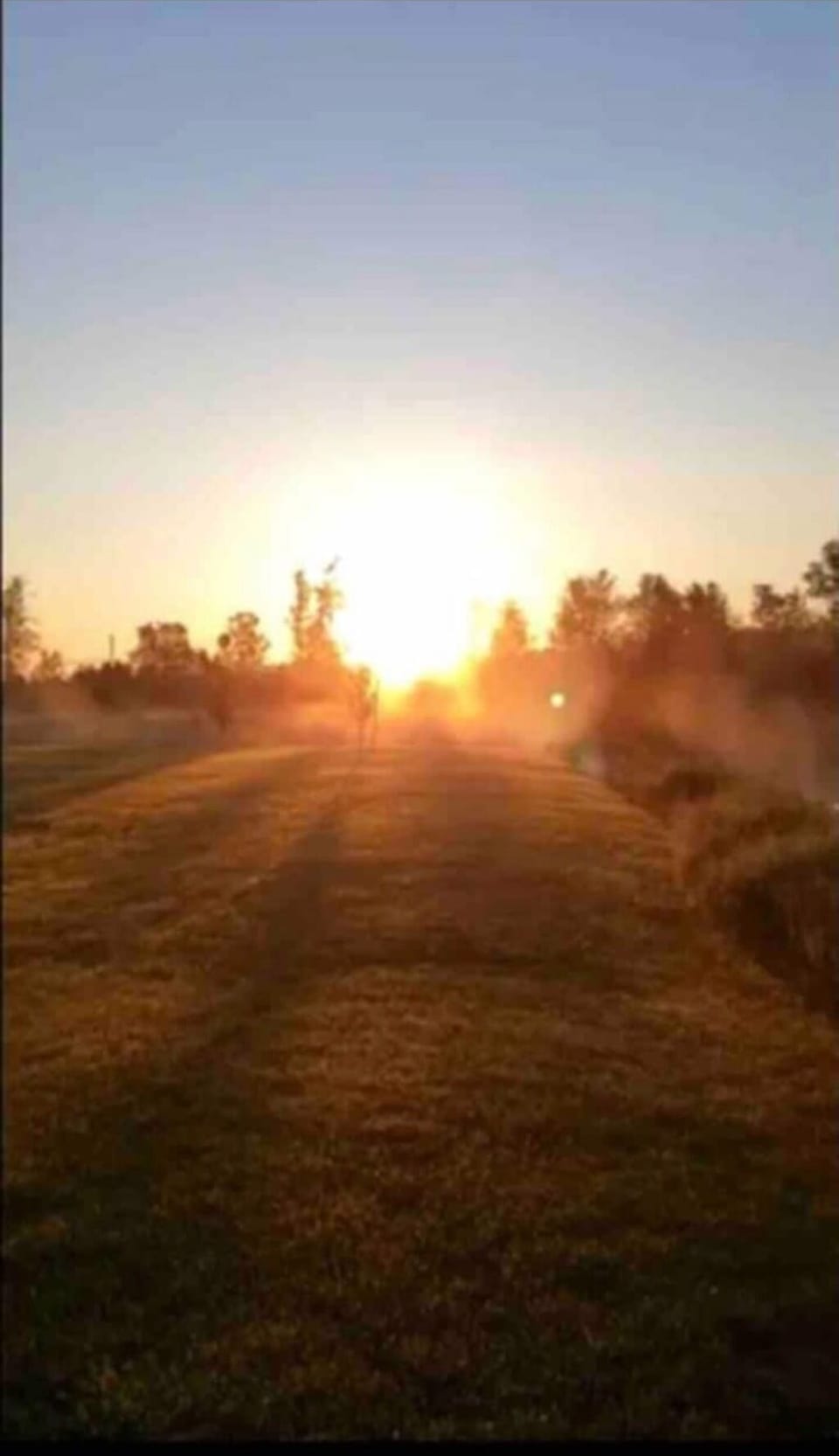 Sunrise