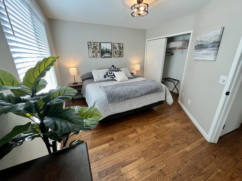 Primary suite with new, king size bed, ample closet storage, and antique dresser