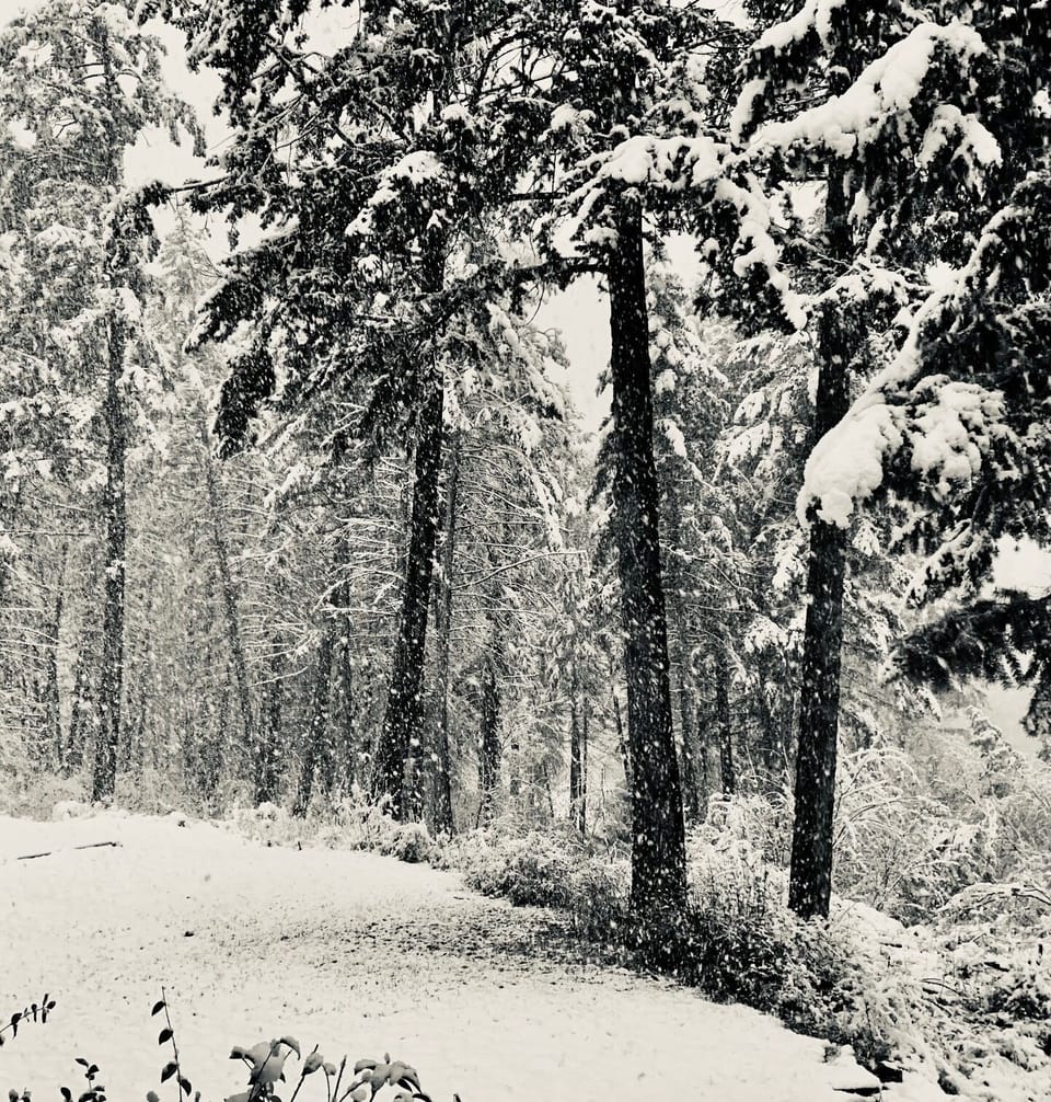 Winter in Bigfork!