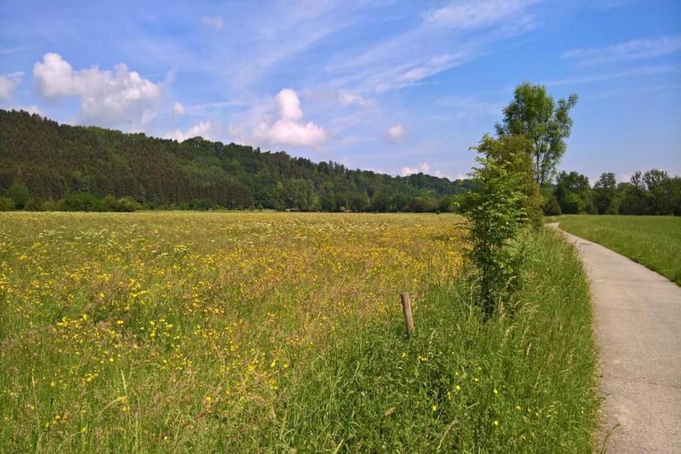 Region [summer] (>5 km)