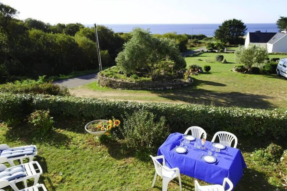 Garden [summer]