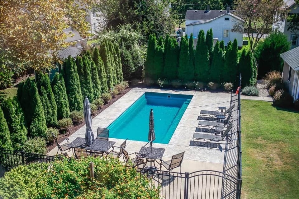 Pool and Yard