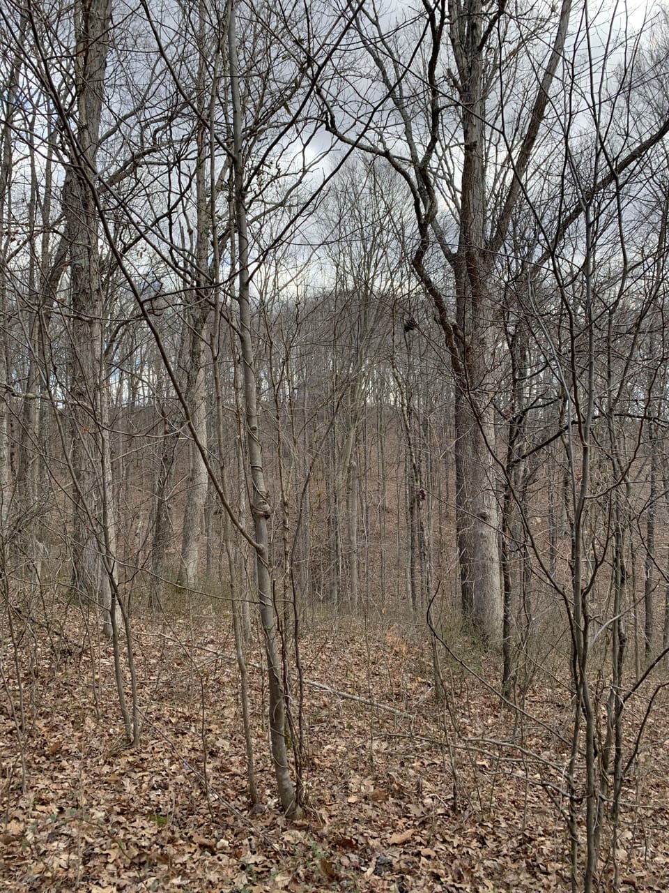 Photos don't do the property hiking justice.  Cabin pictured in FAR distance.