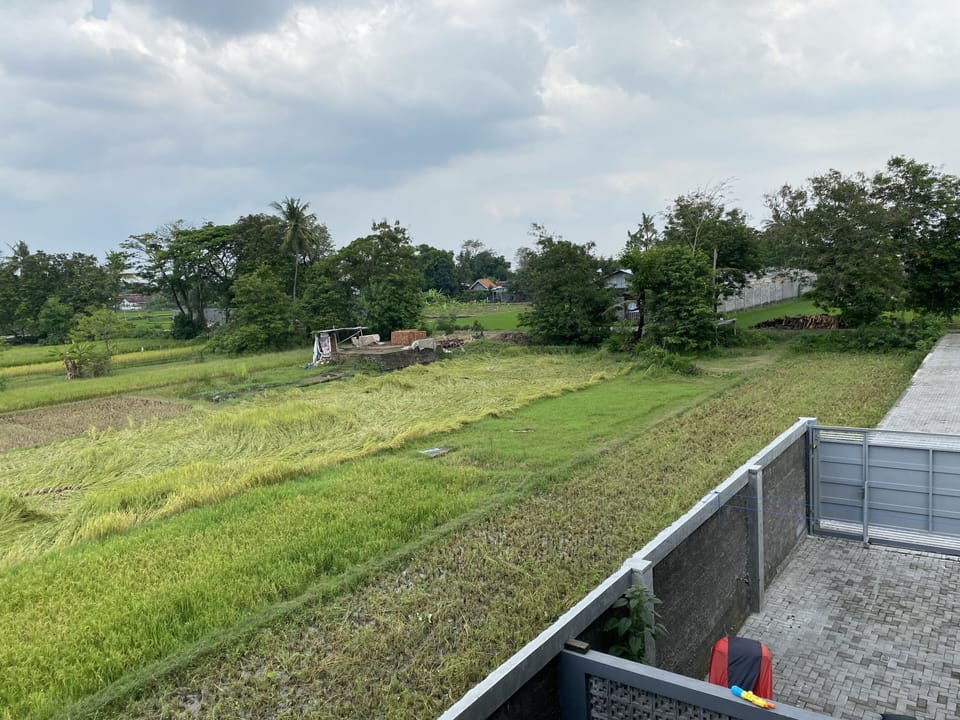 View from property