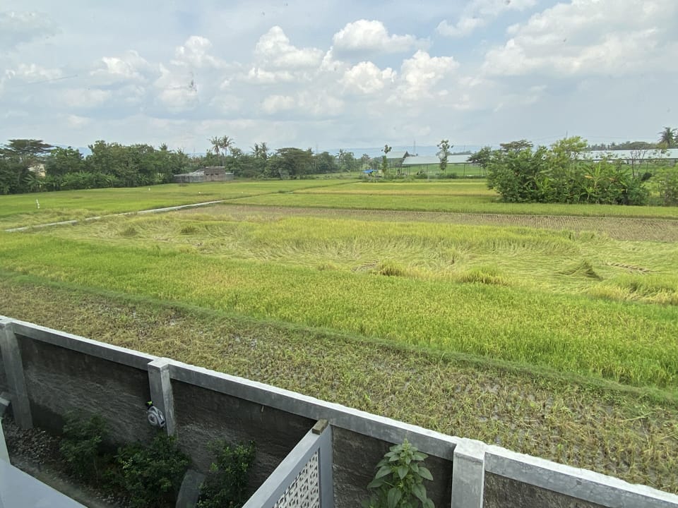 View from property