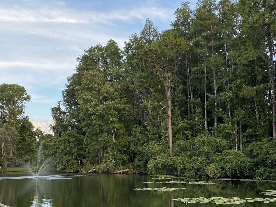 Another lake spot...you can fish here too.