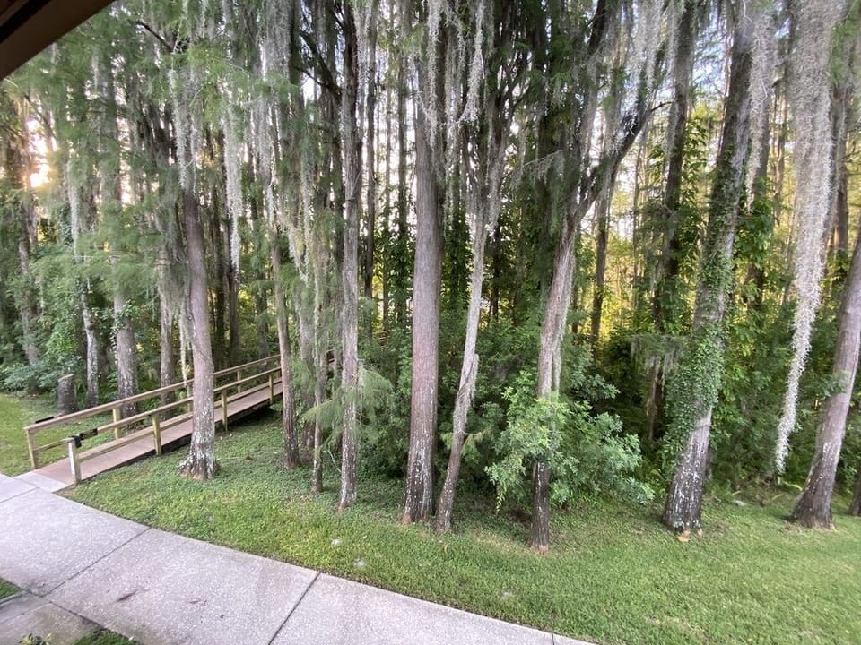 Your balcony view.  The walk way goes to a dock overlooking Paradise Lakes.