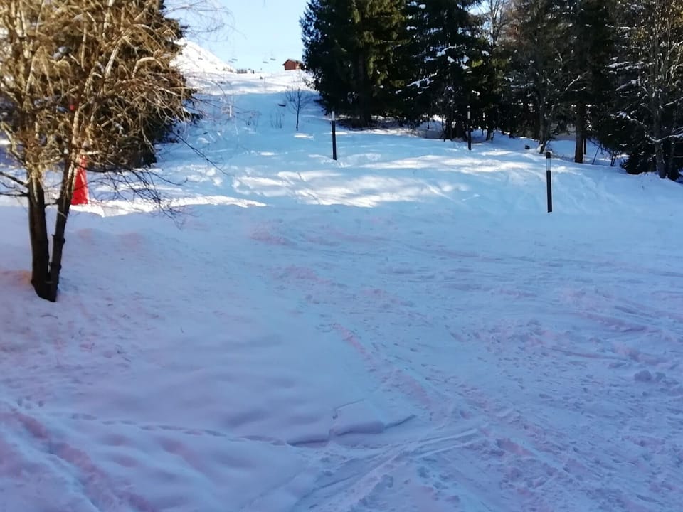 Snow and ski sports