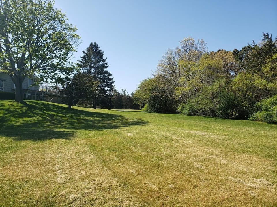 Front Yard