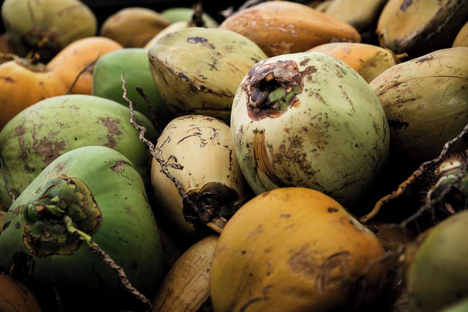 Fresh Coconuts ... Credit: HTA / Heather Goodman