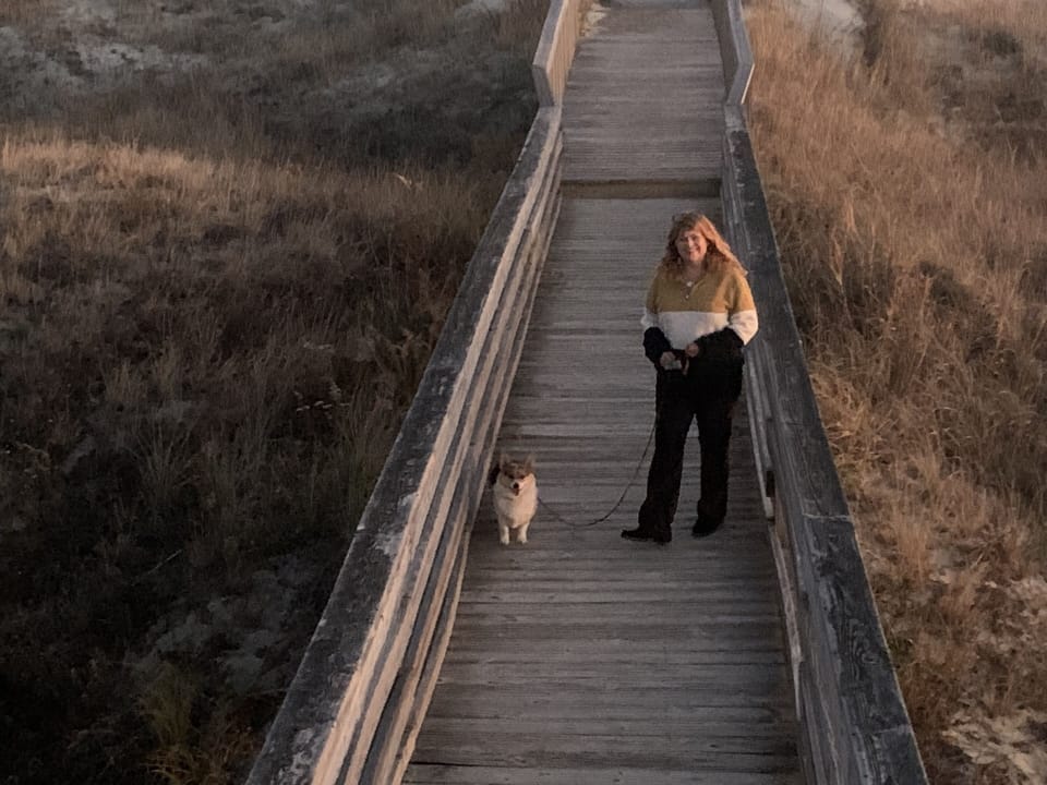 Dog friendly hours in summer and all the time in the winter!