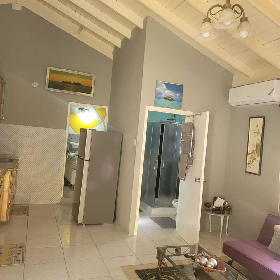 Open-concept Kitchen, living & dining.