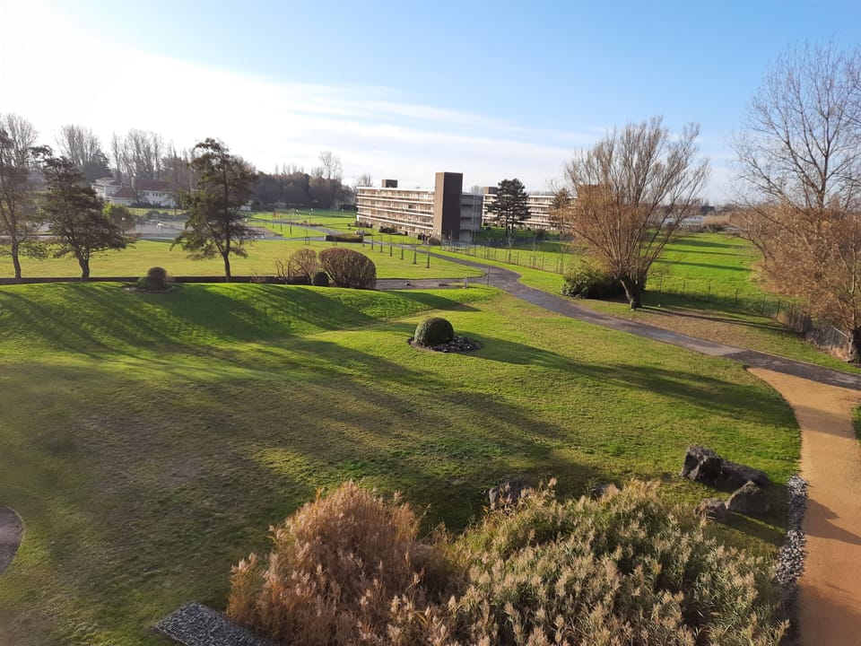 view from front balcony