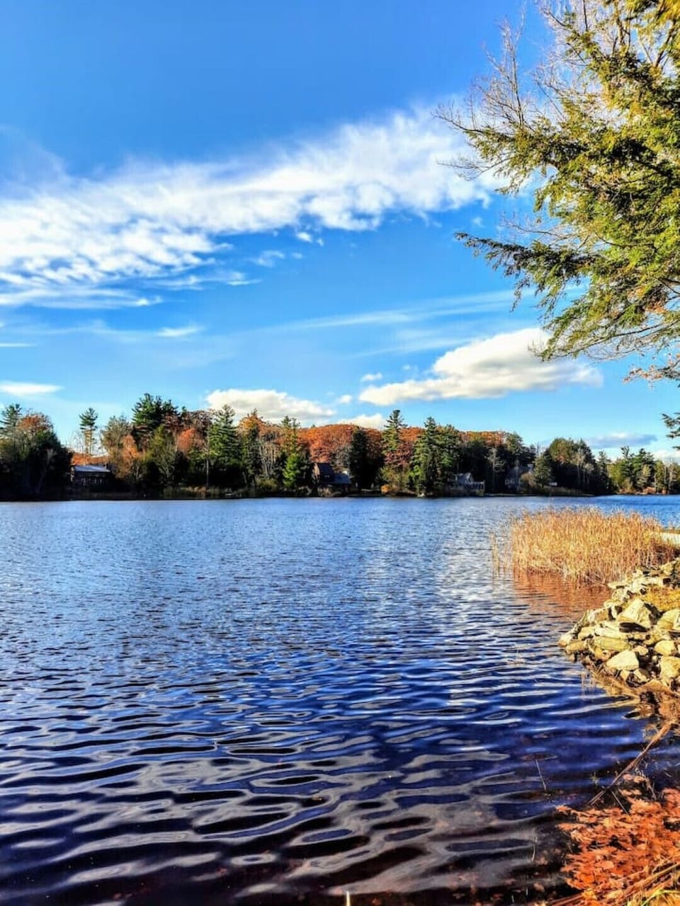 Peaceful summer lake day 