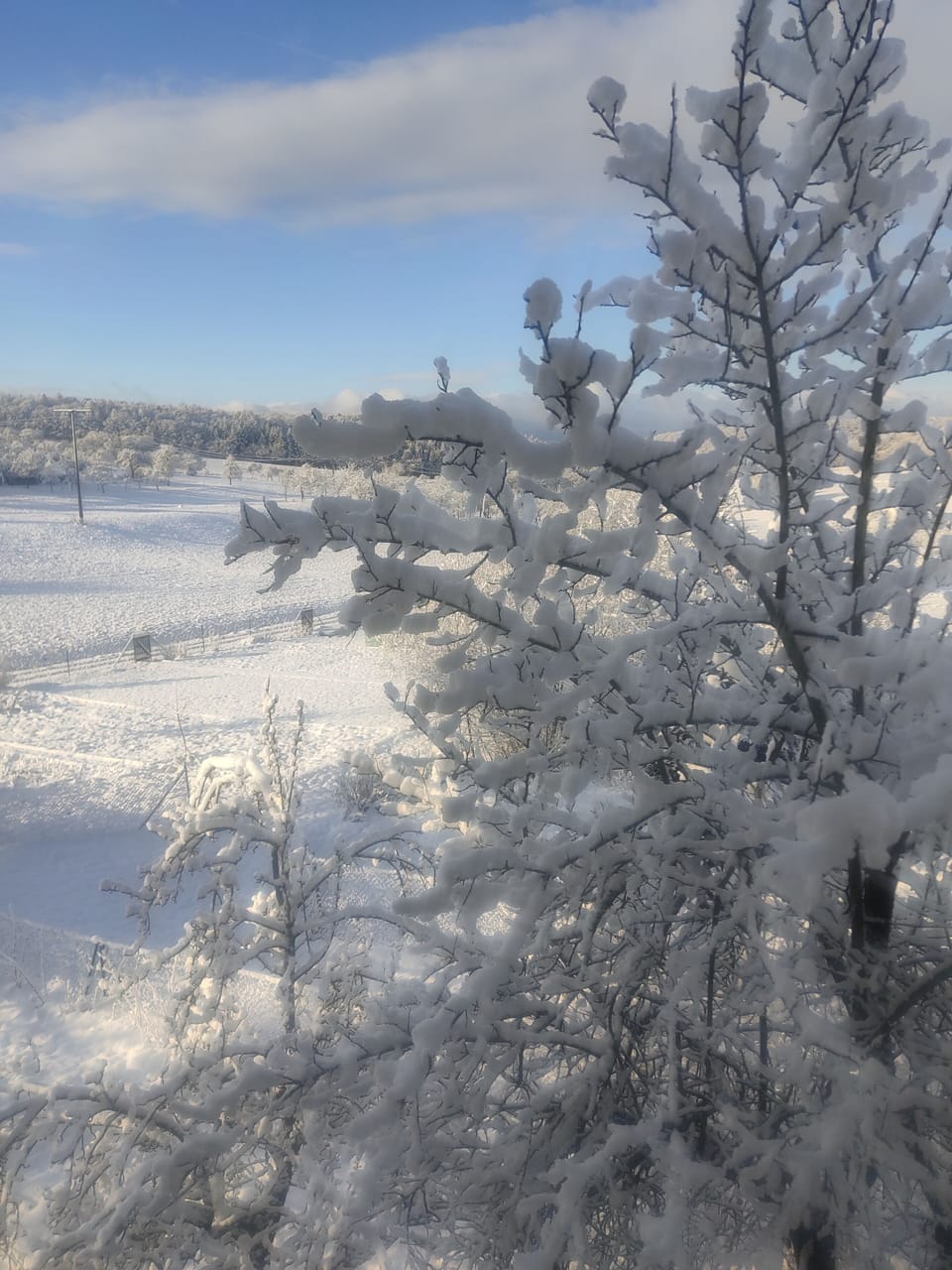 Snow and ski sports