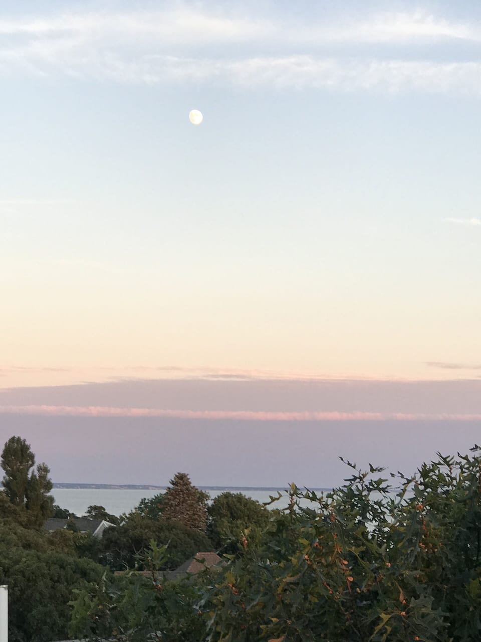 Beach/ocean view