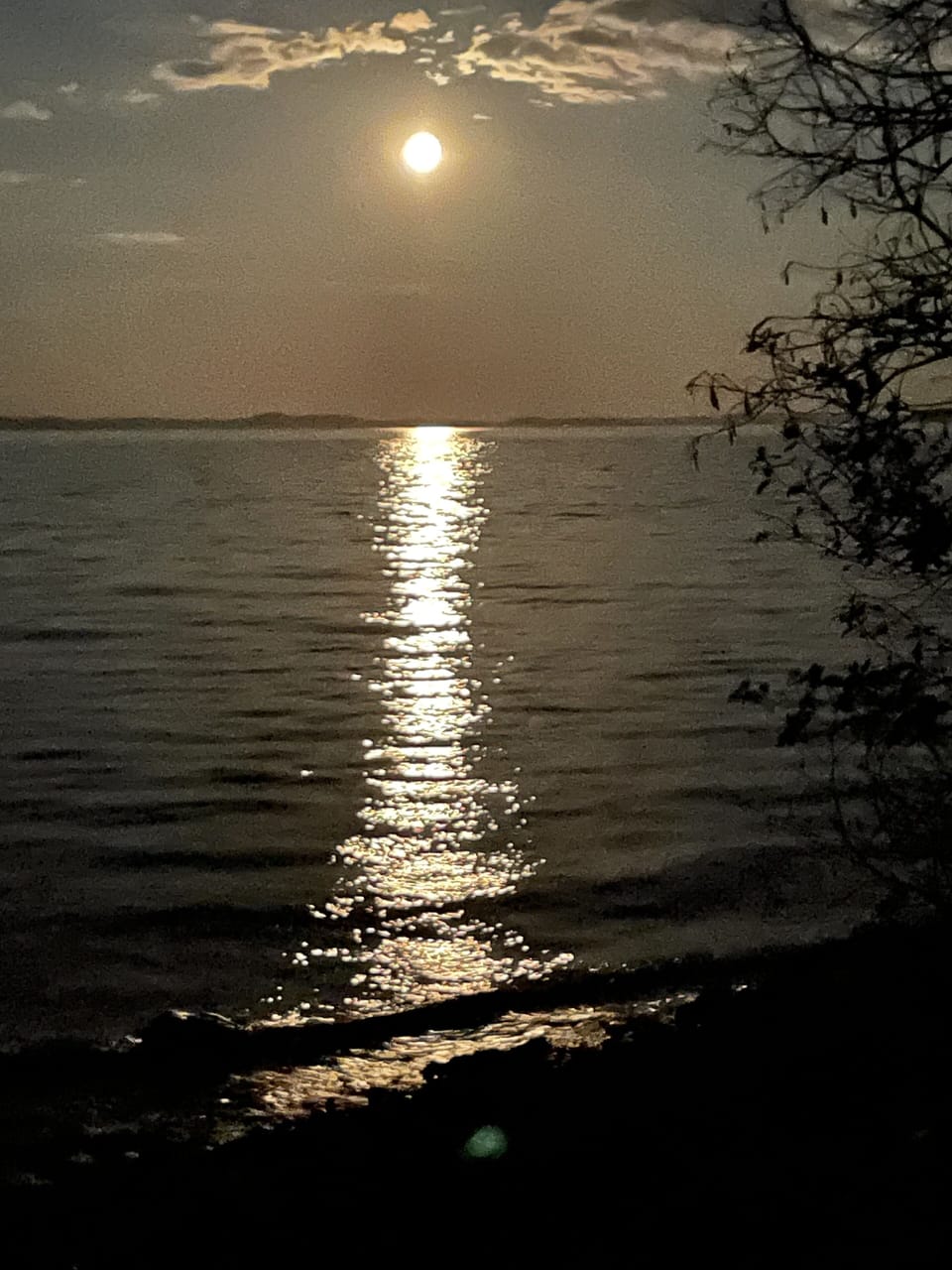 Relax with a Summer Moon on the Landing to the Beach