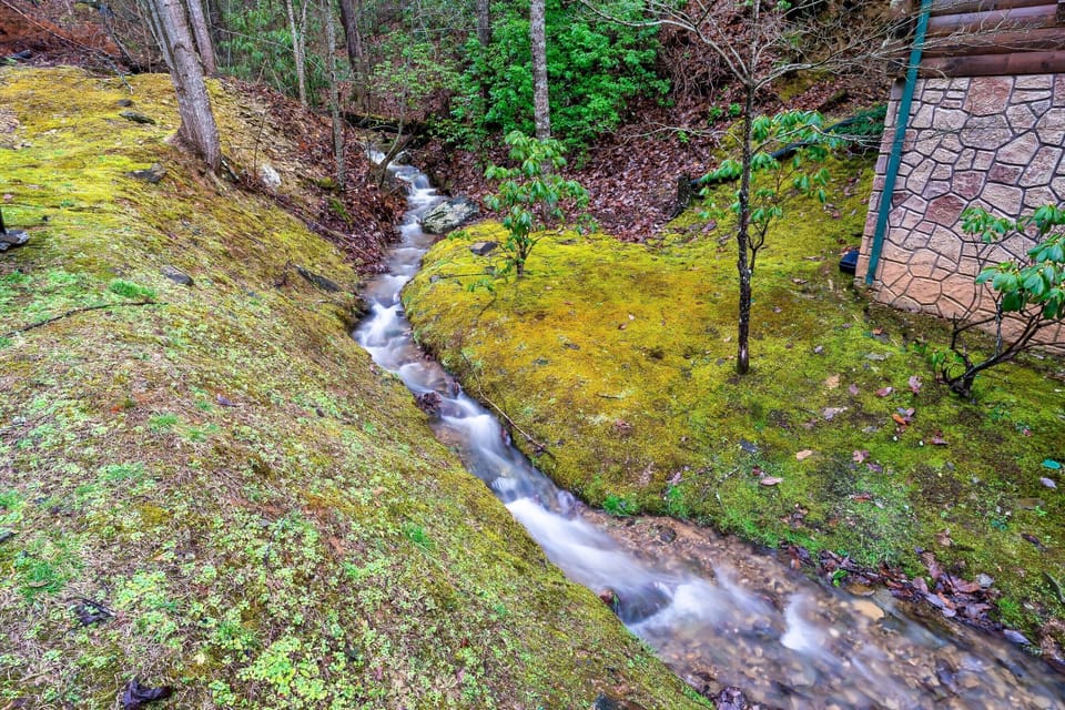 Beautiful creek that runs through the property 