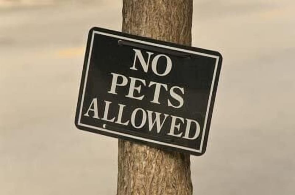 Pet Allergy free home. We cannot accept pets.