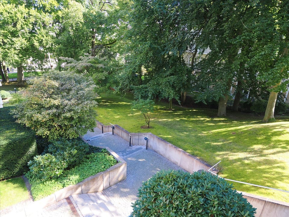 Garden view