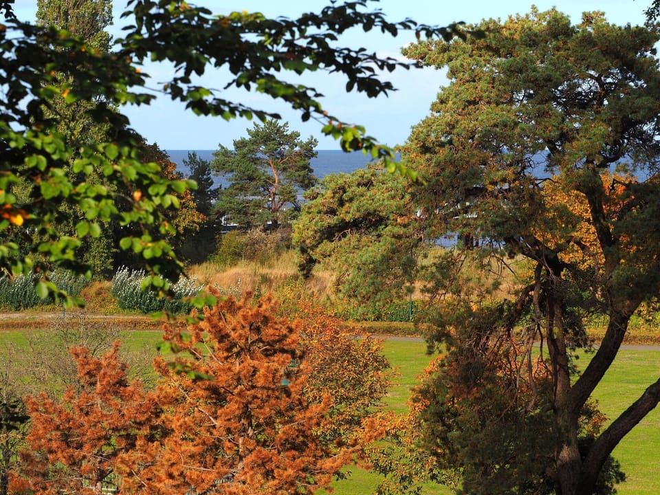 Garden view
