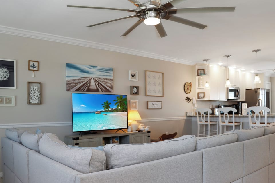 Living Room with TV