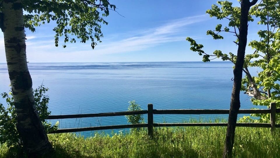 view from the back yard on a summer day