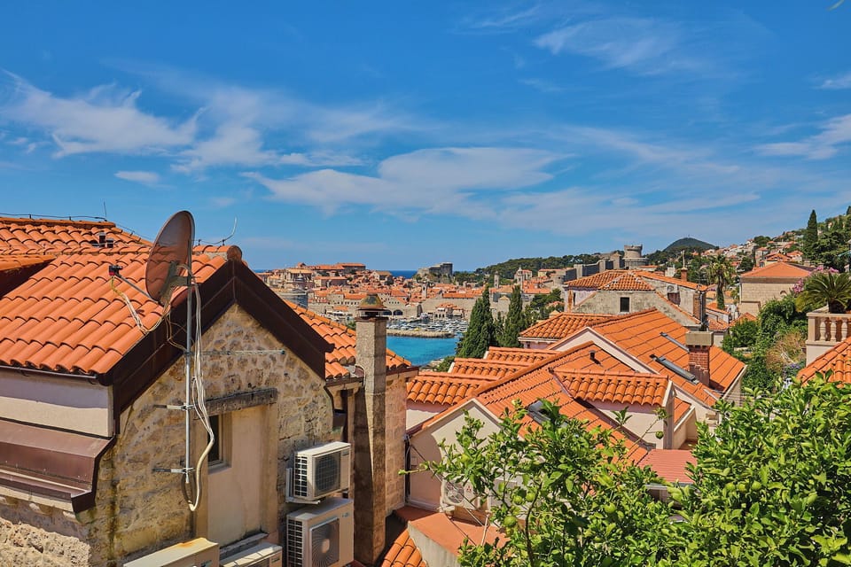 View from terrace