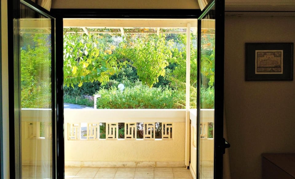 View from the window