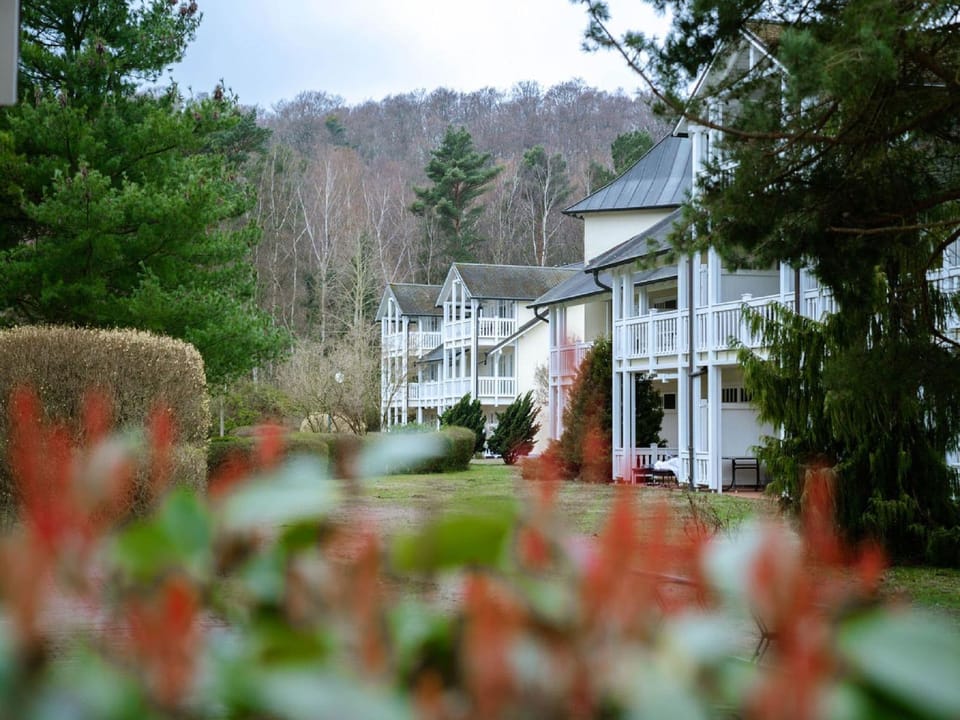 Main view