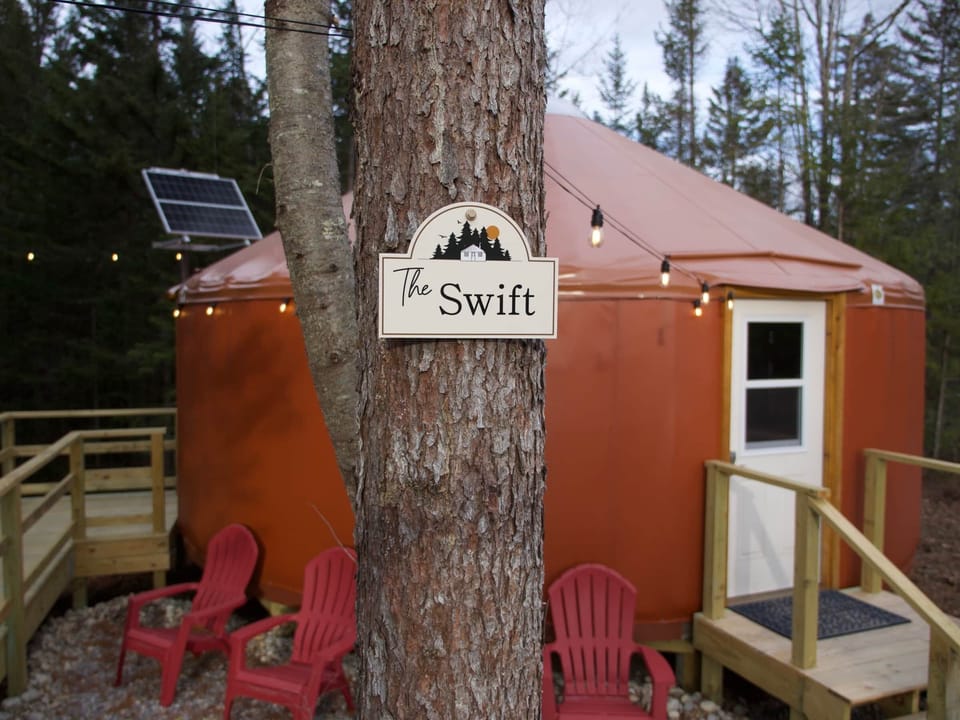 The Swift